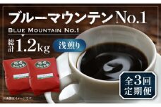 【豆でお届け】【全3回定期便】ブルーマウンテン NO.1 コーヒー ( 浅煎り ) 《豊前市》【稲垣珈琲】 珈琲 コーヒー 豆 粉 [VAS149]