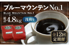【豆でお届け】【全12回定期便】ブルーマウンテン NO.1 コーヒー ( 浅煎り ) 《豊前市》【稲垣珈琲】 珈琲 コーヒー 豆 粉 [VAS151]