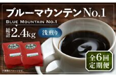 【粉でお届け】【全6回定期便】ブルーマウンテン NO.1 コーヒー ( 浅煎り ) 《豊前市》【稲垣珈琲】 珈琲 コーヒー 豆 粉 [VAS150]