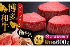 【全2回定期便】博多和牛 ヒレ シャトーブリアン 200g × 3枚《豊前市》【久田精肉店】 [VBK085]