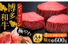 【全5回定期便】博多和牛 ヒレ シャトーブリアン 200g × 3枚《豊前市》【久田精肉店】 [VBK087]