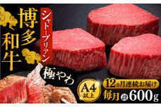 【全12回定期便】博多和牛 ヒレ シャトーブリアン 200g × 3枚《豊前市》【久田精肉店】 [VBK089]