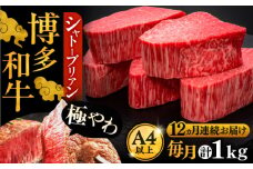 【全12回定期便】博多和牛 ヒレ シャトーブリアン 200g × 5枚《豊前市》【久田精肉店】 [VBK096]
