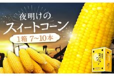 【先行予約】夜明けのスイートコーン 4kg×1箱 (7～10本) 【2026年6月以降順次発送】《豊前市》【アグリネックス】 とうもろこし コーン スイートコーン 14000円 [VCO001]
