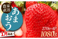 【1月発送】あまおう 1080g (270g以上×4P) 《豊前市》【山口農園】果物 いちご イチゴ 苺 [VDE002]