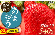 【2月以降発送】あまおう 540g (270g以上×2P) 《豊前市》【山口農園】果物 いちご イチゴ 苺 [VDE006]