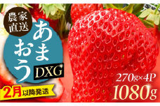 【2月以降発送】あまおう DXG 1080g (270g以上×4P)  《豊前市》【山口農園】果物 いちご イチゴ 苺 [VDE007]