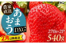 【2月以降発送】あまおう DXG 540g (270g以上×2P) 《豊前市》【山口農園】果物 いちご イチゴ 苺 [VDE008]