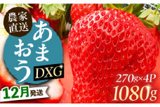 【12月発送】農家直送 あまおう DXG 1080g (270ｇ以上 × 4 パック) 土耕栽培《豊前市》【山口農園】果物 いちご [VDE011]