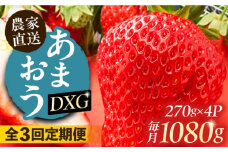【全3回定期便】あまおう DXG 1080g (270ｇ以上 × 4 パック) 土耕栽培《豊前市》【山口農園】果物 いちご [VDE013]