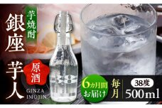 【全6回定期便】芋焼酎 銀座芋人 （原酒）　500ml（38度）《豊前市》【後藤酒造合資会社】 焼酎 酒 いも焼酎 [VDA010]