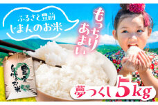 【先行予約】夢つくし 5kg 【令和7年9月以降新米発送】《豊前市》 【山口農園】 米 精米 白米 [VDE014]