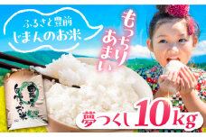 【先行予約】夢つくし 10kg 【令和7年9月以降新米発送】《豊前市》 【山口農園】米 精米 白米 [VDE015]