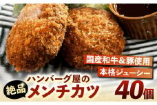 ハンバーグ屋の絶品メンチカツ 60g×40個 (2個入×20袋)《豊前市》【鉄板ダイニング チオハウス】 ミンチカツ メンチ 冷凍 [VDC002]