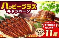 福岡県産 うなぎ 蒲焼 大 11尾　計1,760g（1尾あたり 160g以上）《豊前市》【福岡養鰻】 国産 鰻 ウナギ 蒲焼き [VAD026]