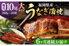 【全6回定期便】福岡県産 うなぎ 蒲焼 大 10尾　計1,600g（1尾あたり 160g以上）《豊前市》【福岡養鰻】 国産 鰻 ウナギ 蒲焼き [VAD028]