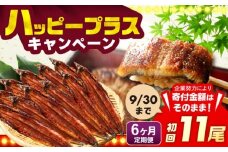 【全6回定期便】福岡県産 うなぎ 蒲焼 大 11尾　計1,760g（1尾あたり 160g以上）《豊前市》【福岡養鰻】 国産 鰻 ウナギ 蒲焼き [VAD028]