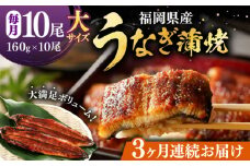 【全3回定期便】福岡県産 うなぎ 蒲焼 大 10尾　計1,600g（1尾あたり 160g以上）《豊前市》【福岡養鰻】 国産 鰻 ウナギ 蒲焼き [VAD027]