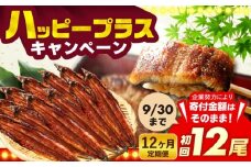 【全12回定期便】福岡県産 うなぎ 蒲焼 大 12尾　計1,920g（1尾あたり 160g以上）《豊前市》【福岡養鰻】 国産 鰻 ウナギ 蒲焼き [VAD029]