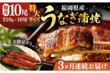 【全3回定期便】福岡県産 うなぎ 蒲焼 特大 10尾 計2,200g（1尾あたり 220g以上）《豊前市》【福岡養鰻】 国産 鰻 ウナギ 蒲焼き [VAD031]