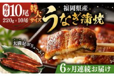 【全6回定期便】福岡県産 うなぎ 蒲焼 特大 10尾 計2,200g（1尾あたり 220g以上）《豊前市》【福岡養鰻】 国産 鰻 ウナギ 蒲焼き [VAD032]
