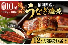 【全12回定期便】福岡県産 うなぎ 蒲焼 特大 10尾 計2,200g（1尾あたり 220g以上）《豊前市》【福岡養鰻】 国産 鰻 ウナギ 蒲焼き [VAD033]