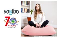 【フラミンゴ】Yogibo Mini 【豊前市制施行70周年記念】《豊前市》【株式会社Yogibo】ヨギボー ミニ ソファ クッション 枕 ベッド [VDI003-18]