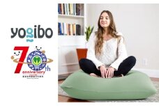 【ピスタチオ】Yogibo Mini 【豊前市制施行70周年記念】《豊前市》【株式会社Yogibo】ヨギボー ミニ ソファ クッション 枕 ベッド [VDI003-21]