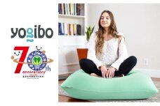 【ミント】Yogibo Mini 【豊前市制施行70周年記念】《豊前市》【株式会社Yogibo】ヨギボー ミニ ソファ クッション 枕 ベッド [VDI003-22]