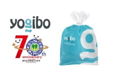 【750g】Yogibo 補充ビーズ　（750g）【豊前市制施行70周年記念】《豊前市》【株式会社Yogibo】ヨギボー ソファ クッション 枕 ベッド [VDI005]