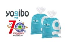 【1500g】Yogibo 補充ビーズ　（750g×2）【豊前市制施行70周年記念】《豊前市》【株式会社Yogibo】ヨギボー ソファ クッション 枕 ベッド [VDI006]