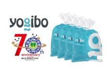 【3000g】Yogibo 補充ビーズ　（750g×4）【豊前市制施行70周年記念】《豊前市》【株式会社Yogibo】ヨギボー ソファ クッション 枕 ベッド [VDI007]