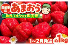 【先行予約】津田くん農園のあまおう 1kg 【2026年1月5日～2月末発送】《豊前市》【株式会社くしだ企画】苺 いちご あまおう [VDG001]