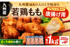 【全6回定期便】お肉屋の唐揚げ 1kg 九州産若鶏モモ肉・ニンニク使用《豊前市》 【くり助】鶏肉 からあげ おかず モモ 揚げ物 小分け [VAJ014]