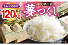 【R7年産の先行予約】【全6回定期便】福岡県産米 夢つくし 20kg (10kg×2袋)【2025年8月末以降順次発送】  《豊前市》【湯越農園】米 精米 白米 [VBC015]