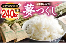 【R7年産新米】【全12回定期便】福岡県産米 夢つくし 20kg (10kg×2袋) 《豊前市》【湯越農園】米 精米 白米 [VBC016]