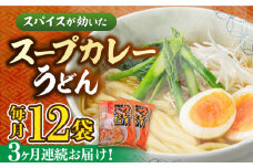 【第3回定期便】 スープカレーうどん (12食入り)≪豊前市≫【富士菊】 うどん カレー 麺 [VAI071]