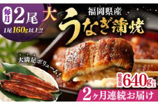 【全2回定期便】福岡県産 うなぎ 蒲焼 大2尾　合計 320 g（1尾あたり 160g以上）《豊前市》【福岡養鰻】 国産 うなぎ 大 [VAD034]