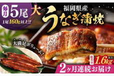 【全2回定期便】福岡県産 うなぎ 蒲焼 大5尾　合計 800 g（1尾あたり 160g以上）《豊前市》【福岡養鰻】 国産 うなぎ 大 [VAD035]