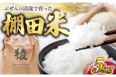 【新米】求菩提米　夢つくし　5kg (5kg×1袋) 《豊前市》【アグリネックス】 米 お米 白米 5キロ 米5kg 米5キロ  新米 産地直送 精米 国産 おすすめ おいしい 2025年 甘い 人気 ランキング [VCO003]