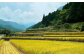 米 お米 白米 5キロ 米5kg 米5キロ  新米 産地直送 精米 国産 おすすめ おいしい 2025年 人気 ランキング