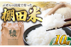 【新米】求菩提米　夢つくし　10kg (5kg×2袋) 《豊前市》【アグリネックス】 米 お米 白米 10キロ 米10kg 米10キロ  新米 産地直送 精米 国産 おすすめ おいしい 2025年 甘い 人気 ランキング [VCO004]