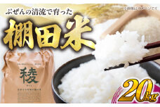【新米】求菩提米　夢つくし　20kg (5kg×4袋) 《豊前市》【アグリネックス】 米 お米 白米 20キロ 米20kg 米20キロ  新米 産地直送 精米 国産 おすすめ おいしい 2025年 甘い 人気 ランキング [VCO005]