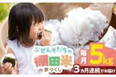 【全3回定期便】 求菩提米　夢つくし　5kg (5kg×1袋) 《豊前市》【アグリネックス】 米 お米 白米 5キロ 米5kg 米5キロ  新米 産地直送 精米 国産 おすすめ おいしい 2025年 甘い 人気 ランキング [VCO006]
