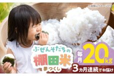 【全3回定期便】 求菩提米　夢つくし　20kg (5kg×4袋) 《豊前市》【アグリネックス】 米 お米 白米 20キロ 米20kg 米20キロ  新米 産地直送 精米 国産 おすすめ おいしい 2025年 甘い 人気 ランキング [VCO008]