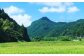 米 お米 白米 5キロ 米5kg 米5キロ  新米 産地直送 精米 国産 おすすめ おいしい 2025年 人気 ランキング