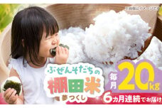 【全6回定期便】 求菩提米　夢つくし　20kg (5kg×4袋) 《豊前市》【アグリネックス】 米 お米 白米 20キロ 米20kg 米20キロ  新米 産地直送 精米 国産 おすすめ おいしい 2025年 甘い 人気 ランキング [VCO011]