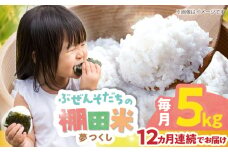 【全12回定期便】 求菩提米　夢つくし　5kg (5kg×1袋) 《豊前市》【アグリネックス】 米 お米 白米 5キロ 米5kg 米5キロ  新米 産地直送 精米 国産 おすすめ おいしい 2025年 甘い 人気 ランキング [VCO012]