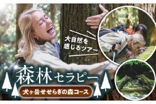 森林セラピー（犬ヶ岳せせらぎの森コース） 《豊前市》　【豊前観光まちづくり協会】　体験 ツアー 旅行 自然探索 登山 [VDO002]