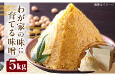 育てる味噌 5kg 《豊前市》　【浦野醤油醸造元】みそ　米味噌 [VAV019]
